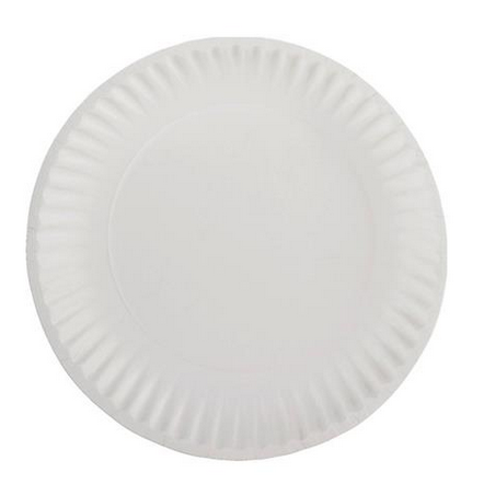 9" White Coated Paper Plate - 1000/cs